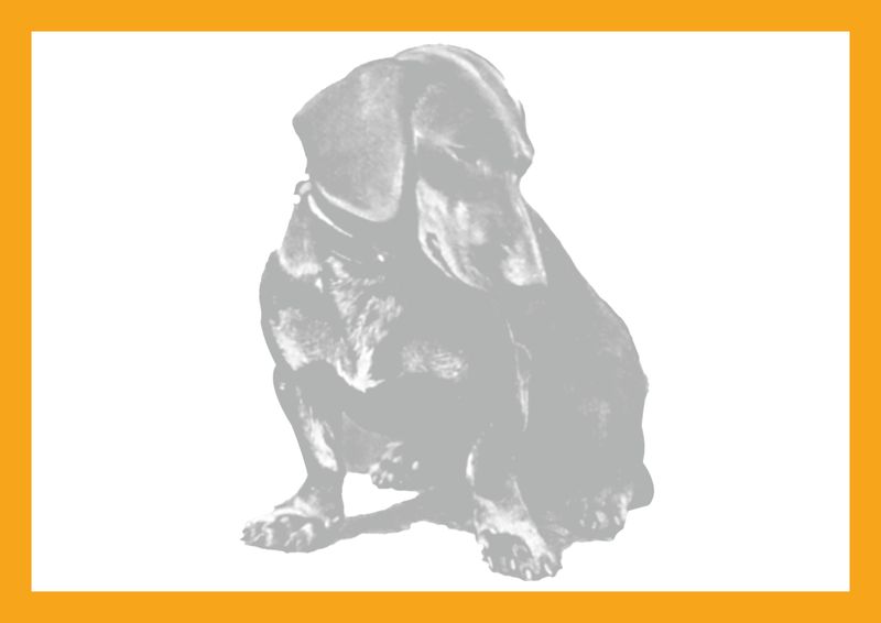 Erdmann oder Fakeman?